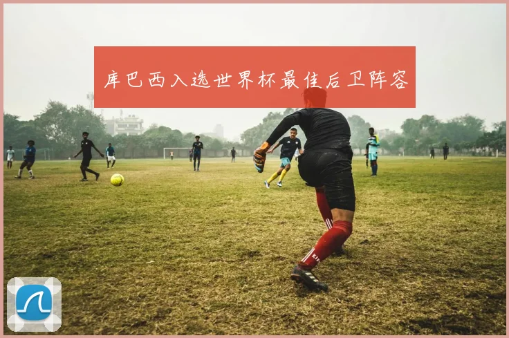 库巴西入选世界杯最佳后卫阵容