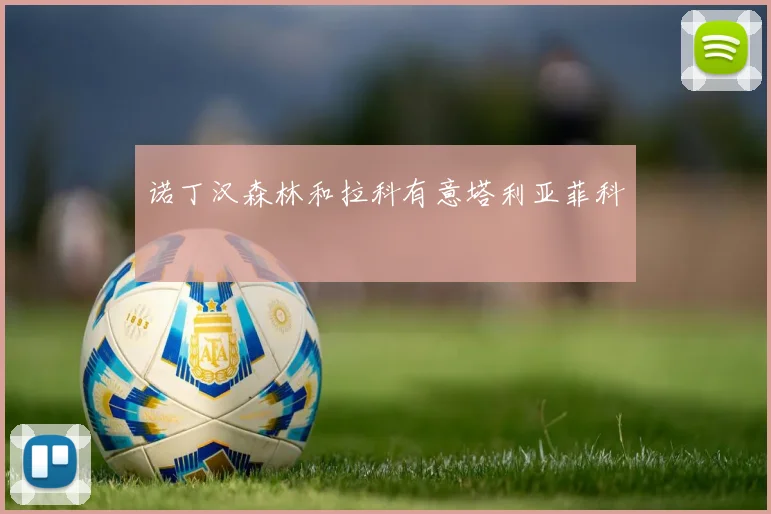 诺丁汉森林和拉科有意塔利亚菲科